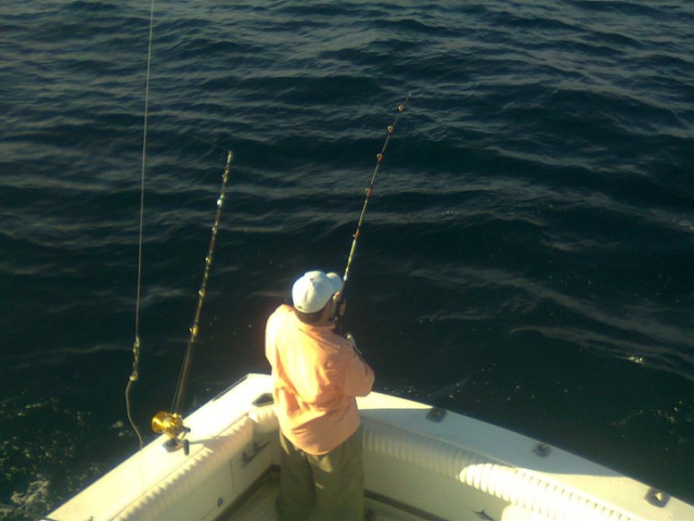 Pescando con caña